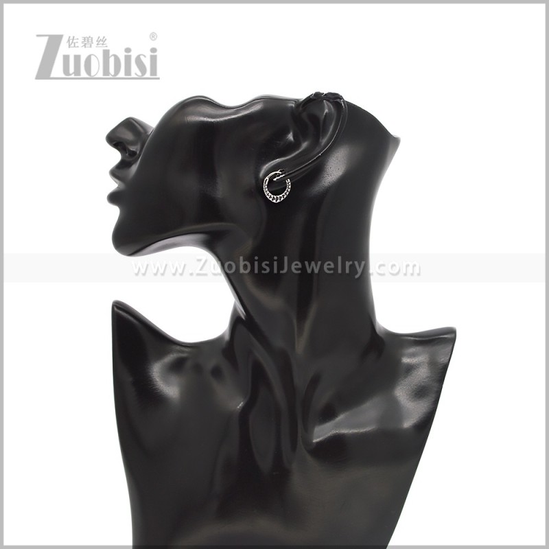Stainless Steel Earring e002914S