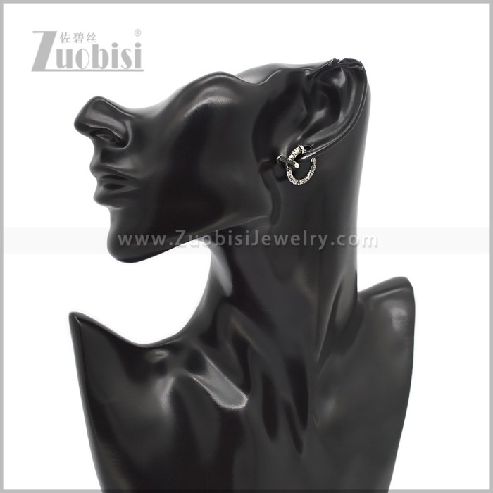 Stainless Steel Earring e002918S