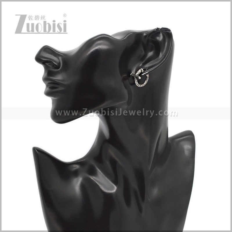 Stainless Steel Earring e002918S
