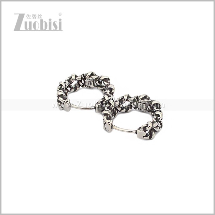 Stainless Steel Earring e002939S