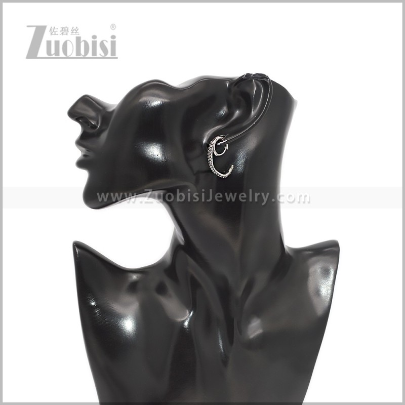 Stainless Steel Earring e002906S