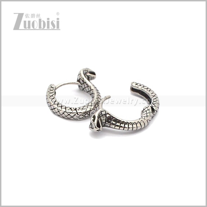 Stainless Steel Earring e002932S