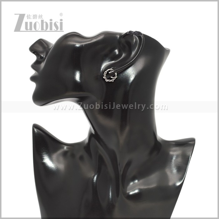 Stainless Steel Earring e002919S