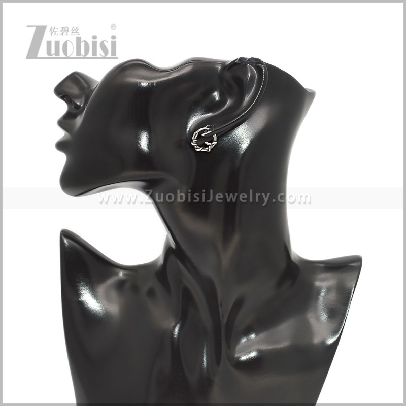 Stainless Steel Earring e002919S