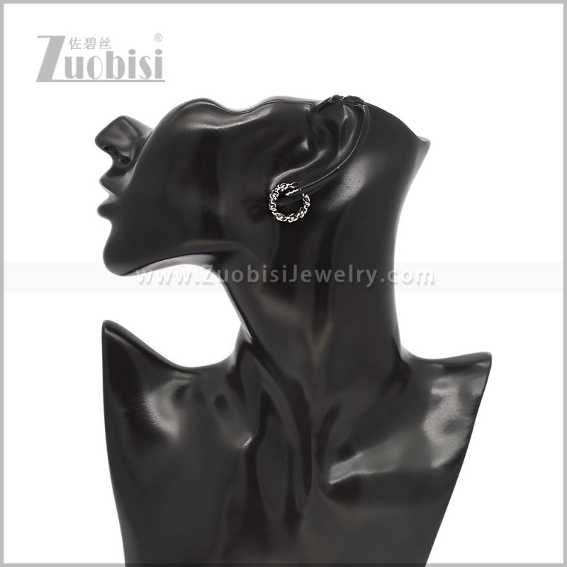 Stainless Steel Earring e002939S