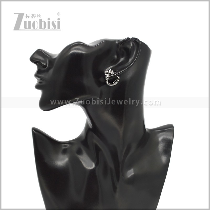 Stainless Steel Earring e002921S