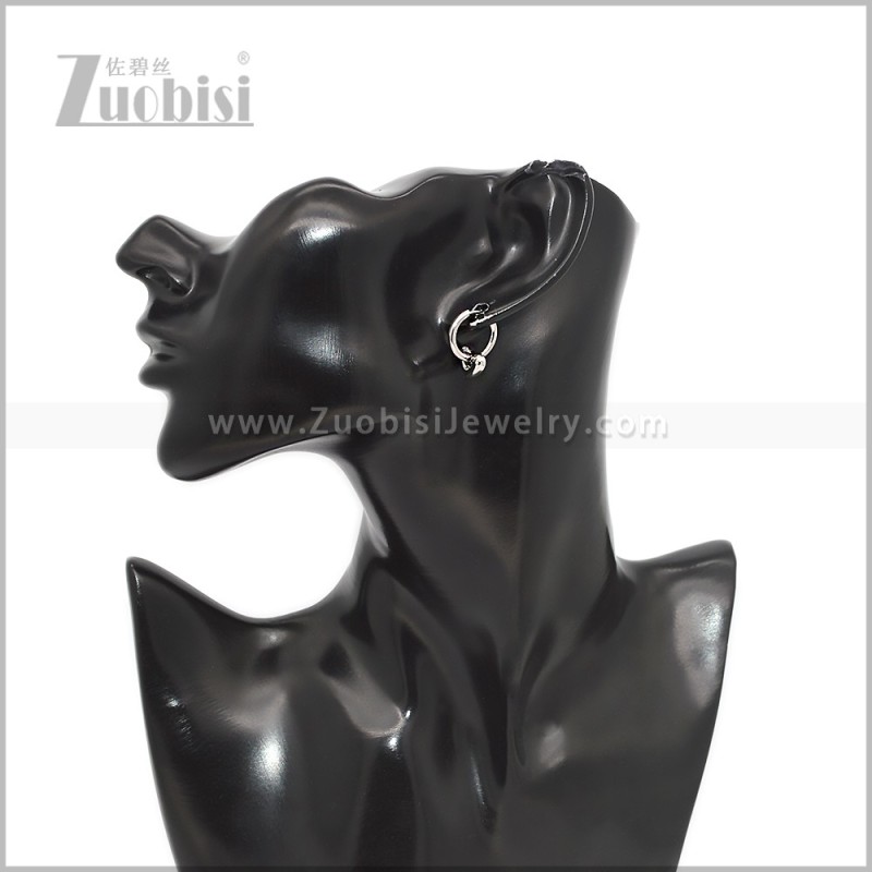 Stainless Steel Earring e002905S