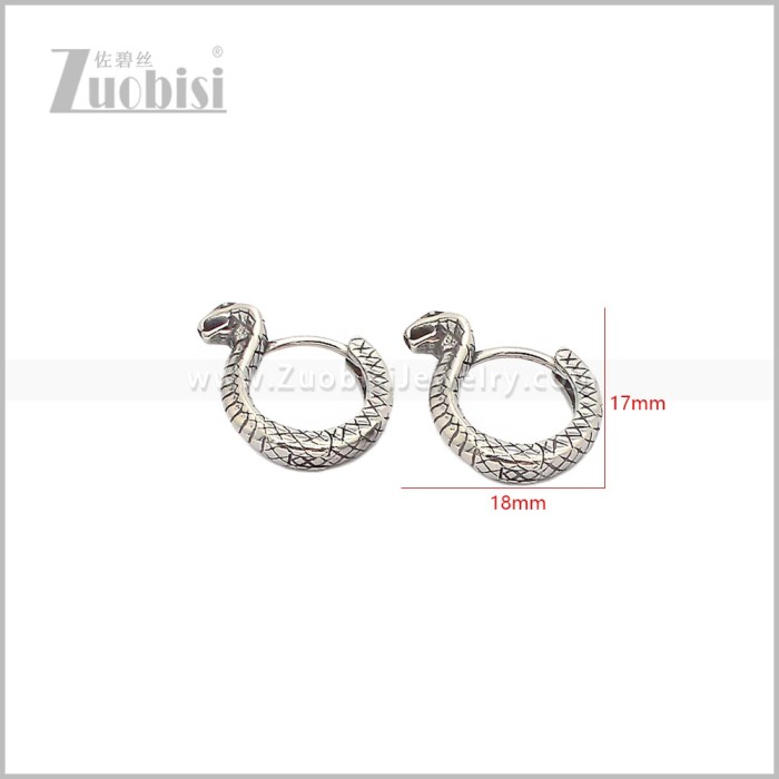 Stainless Steel Earring e002932S
