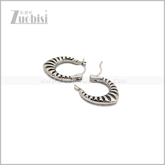 Stainless Steel Earring e002931S