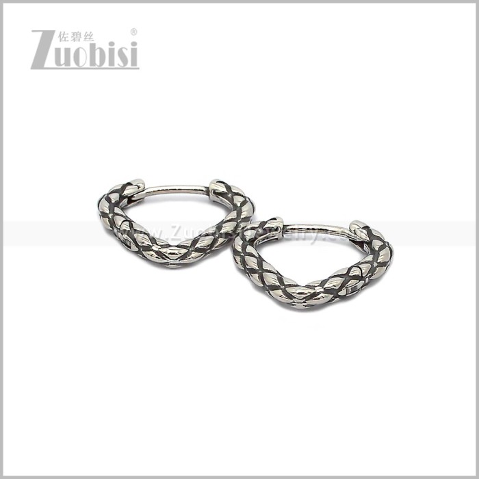 Stainless Steel Earring e002920S