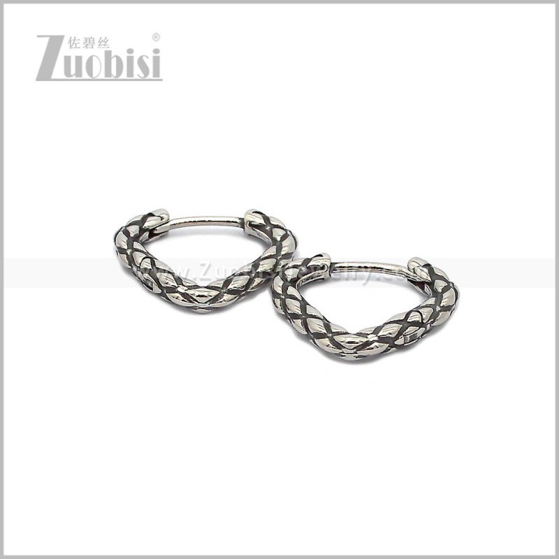 Stainless Steel Earring e002920S