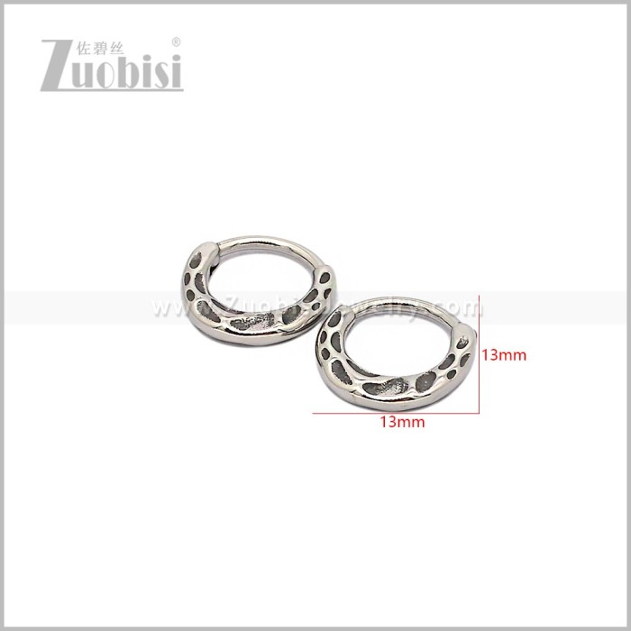Stainless Steel Earring e002938S