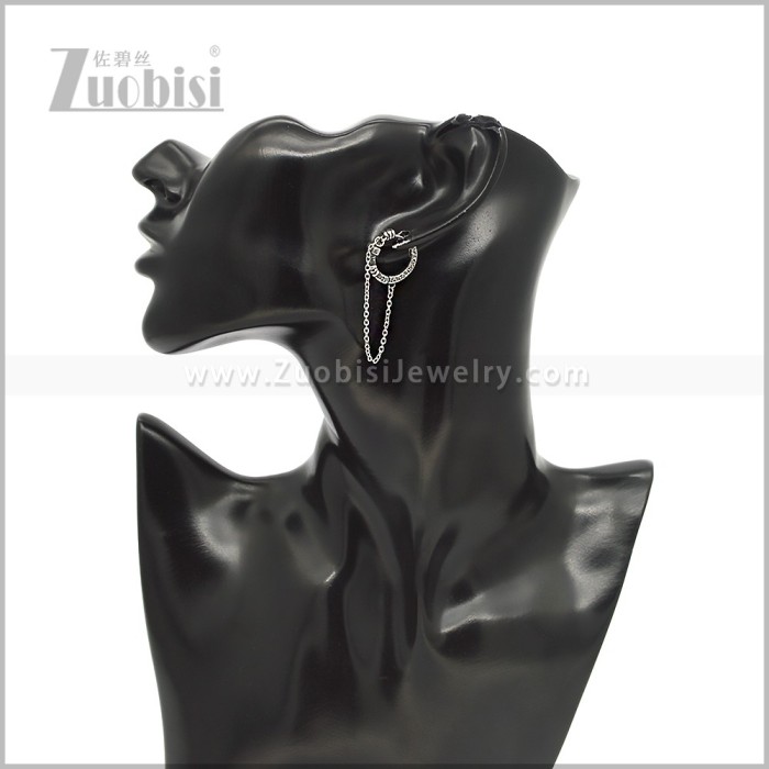 Stainless Steel Earring e002908S