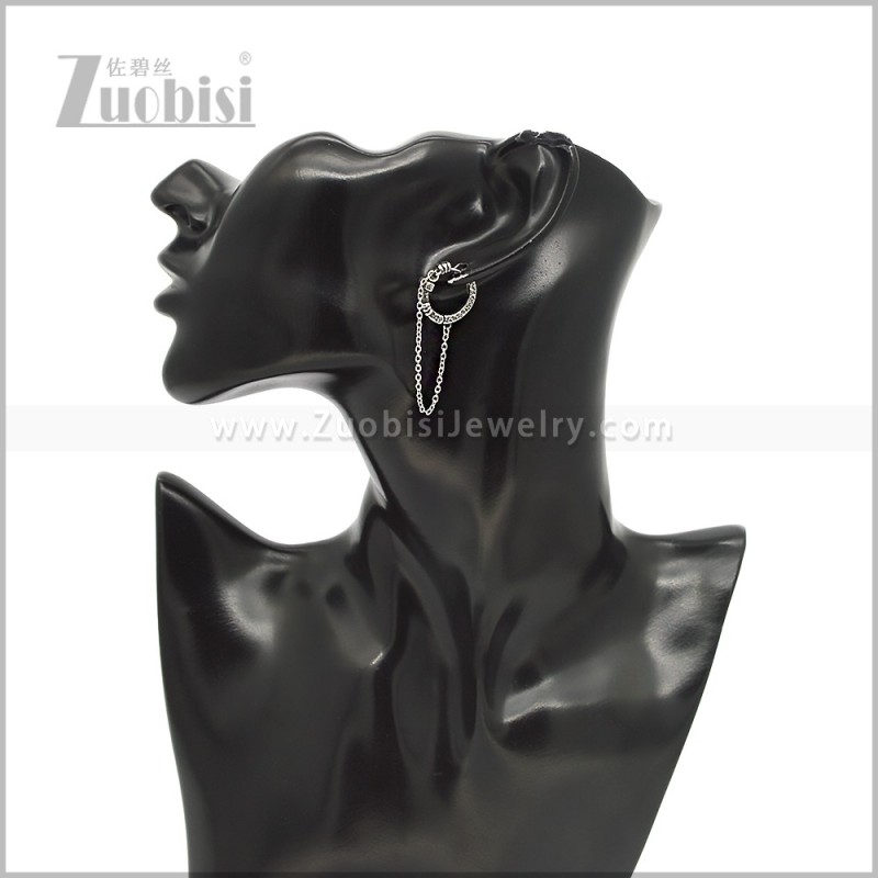 Stainless Steel Earring e002908S