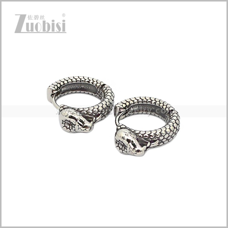 Stainless Steel Earring e002925S