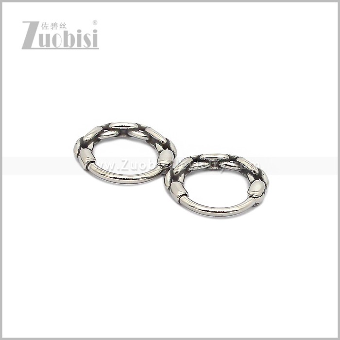 Stainless Steel Earring e002934S