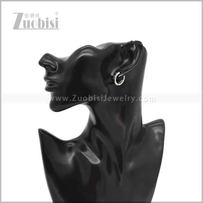 Stainless Steel Earring e002928S
