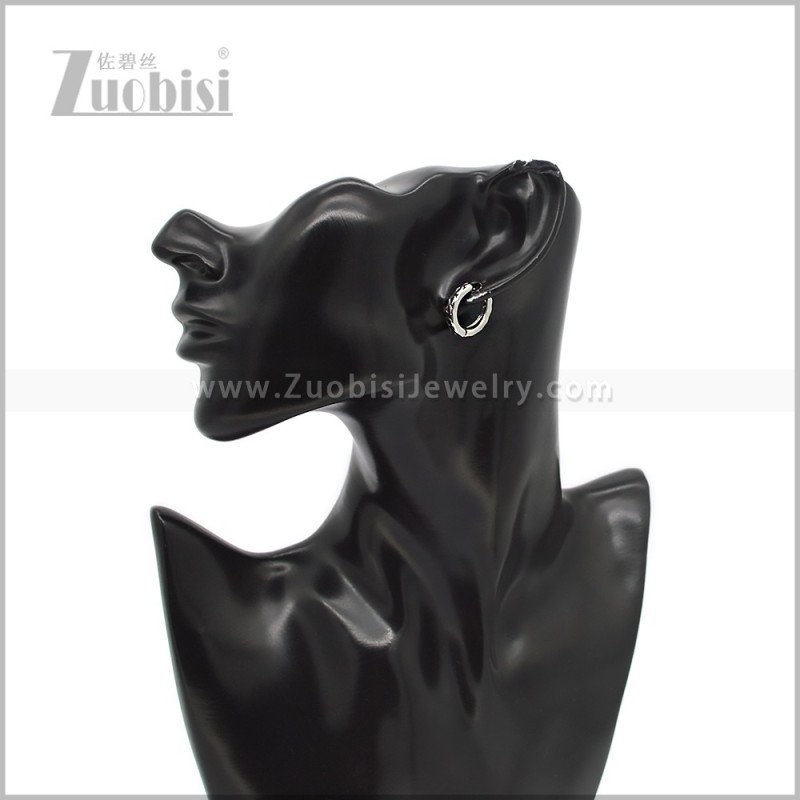 Stainless Steel Earring e002928S