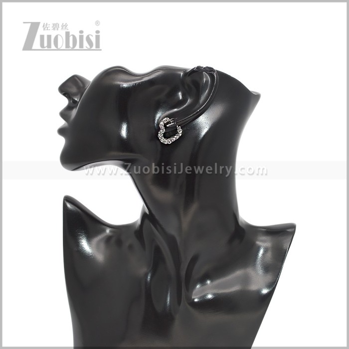 Stainless Steel Earring e002926S