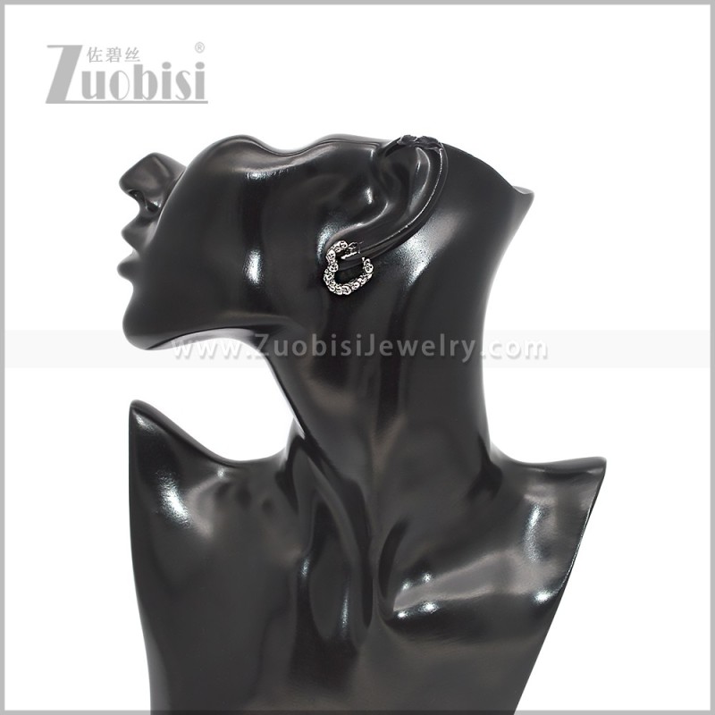 Stainless Steel Earring e002926S