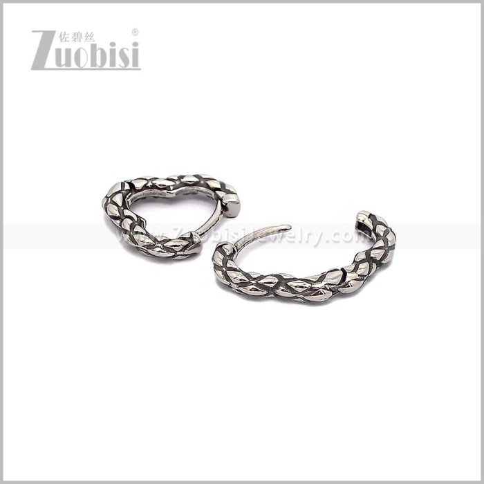 Stainless Steel Earring e002911S