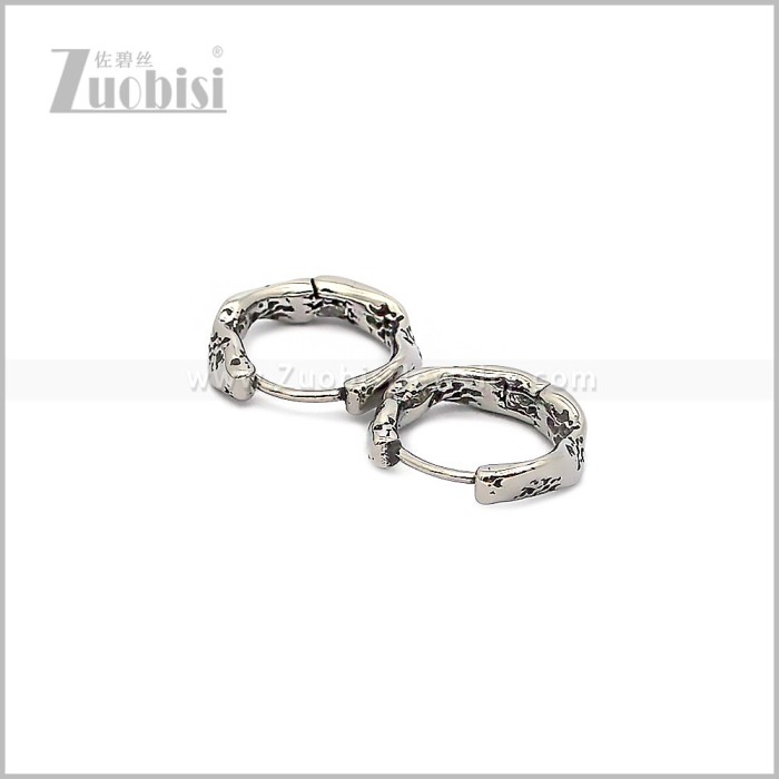 Stainless Steel Earring e002935S