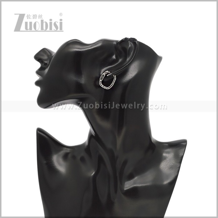 Stainless Steel Earring e002913S