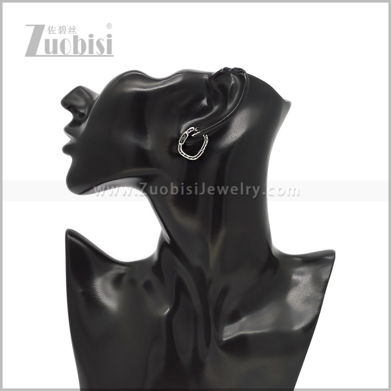 Stainless Steel Earring e002913S