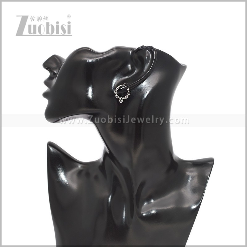 Stainless Steel Earring e002937S