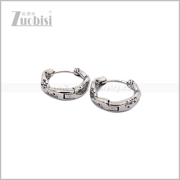 Stainless Steel Earring e002935S