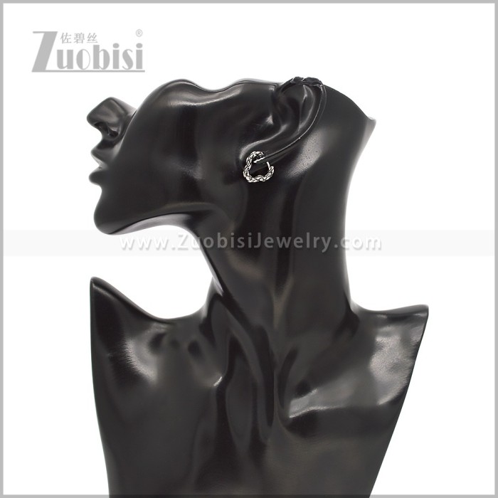 Stainless Steel Earring e002911S