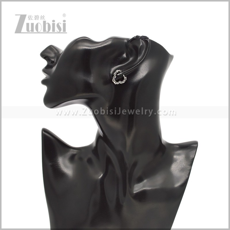 Stainless Steel Earring e002911S