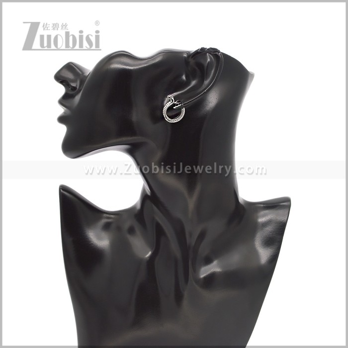 Stainless Steel Earring e002932S