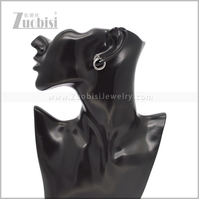 Stainless Steel Earring e002932S