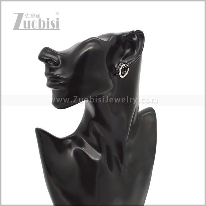 Stainless Steel Earring e002929S
