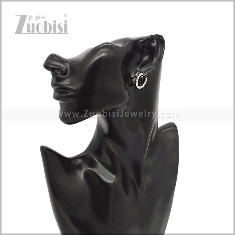 Stainless Steel Earring e002929S