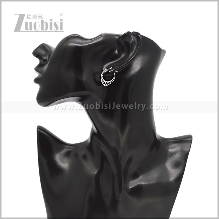 Stainless Steel Earring e002931S