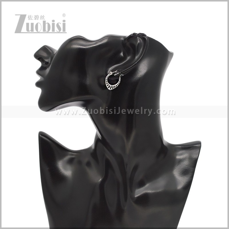 Stainless Steel Earring e002931S