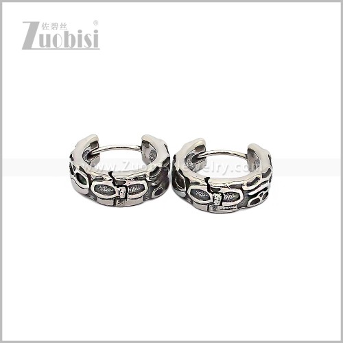 Stainless Steel Earring e002923S