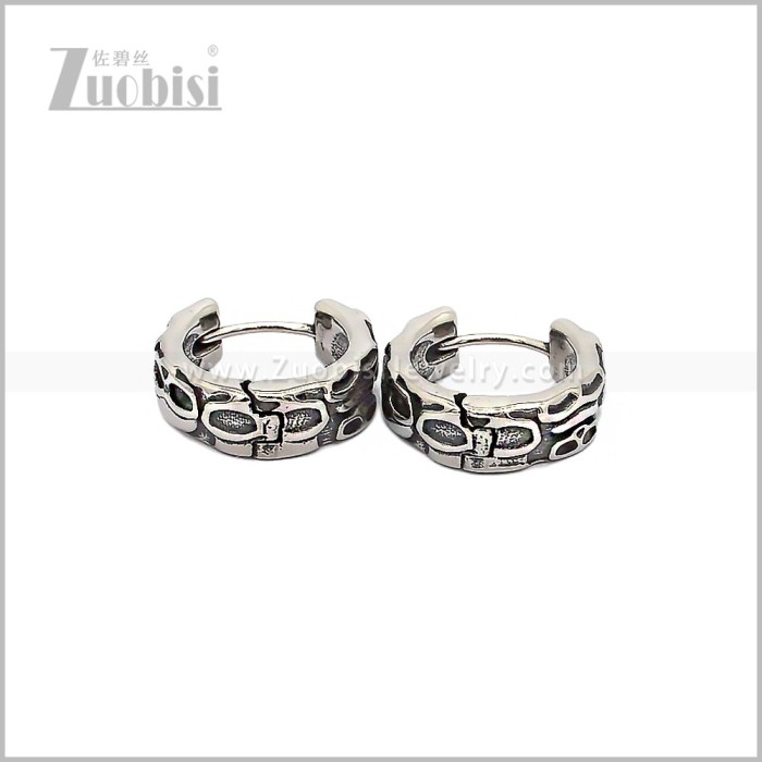 Stainless Steel Earring e002923S