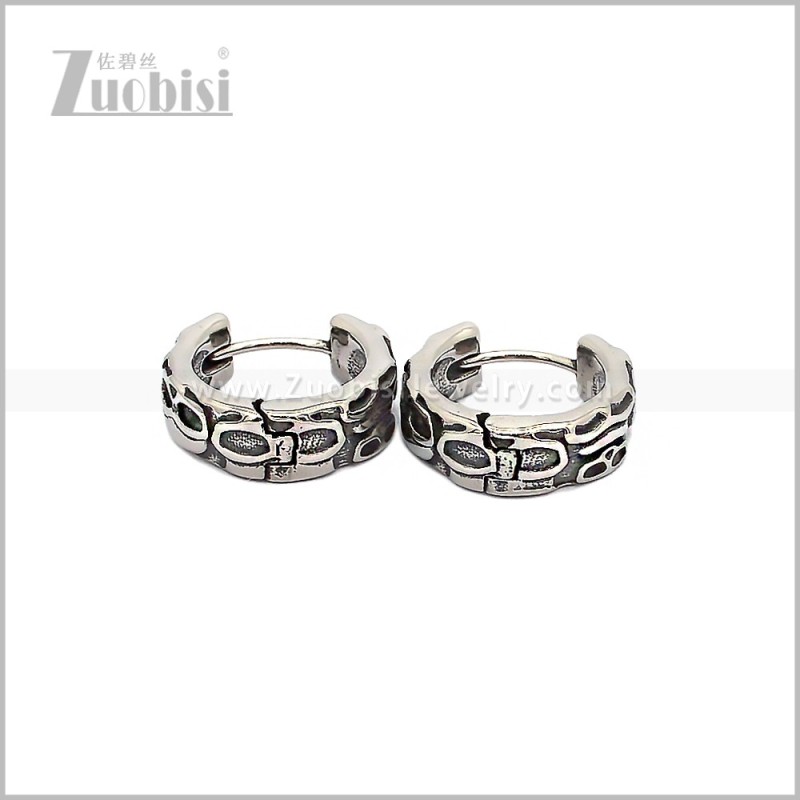 Stainless Steel Earring e002923S