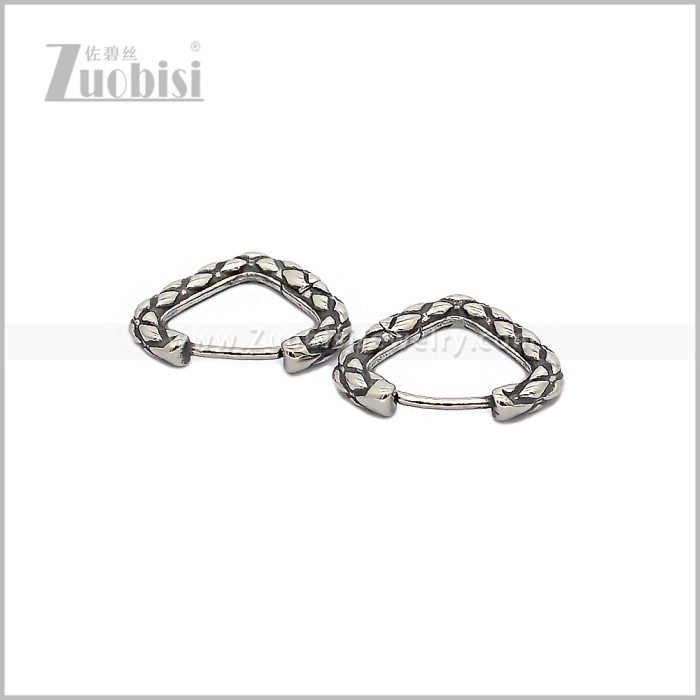 Stainless Steel Earring e002920S