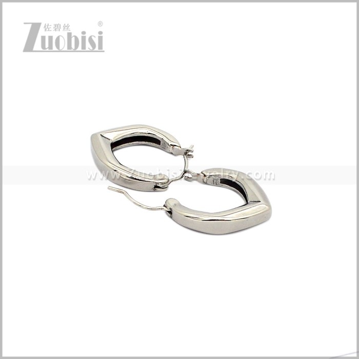 Stainless Steel Earring e002940S