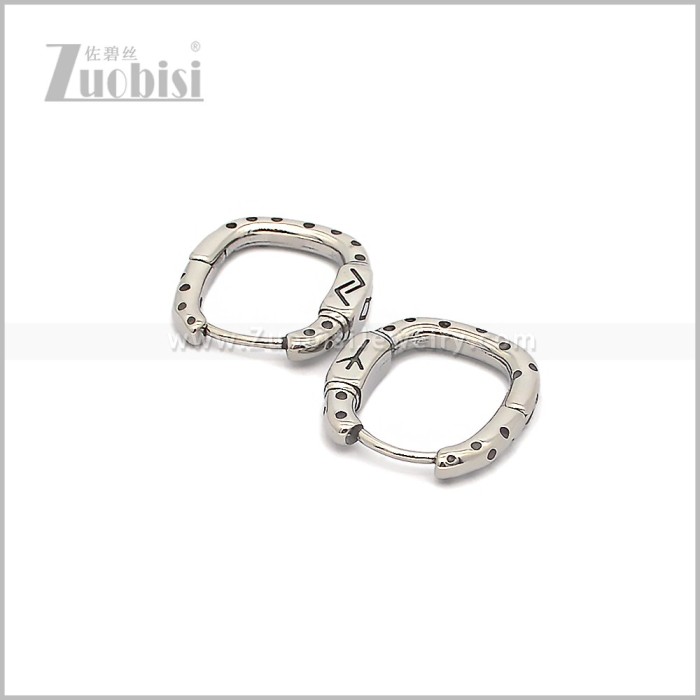 Stainless Steel Earring e002913S