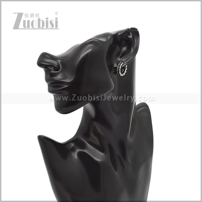 Stainless Steel Earring e002941S