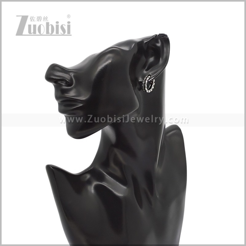 Stainless Steel Earring e002941S