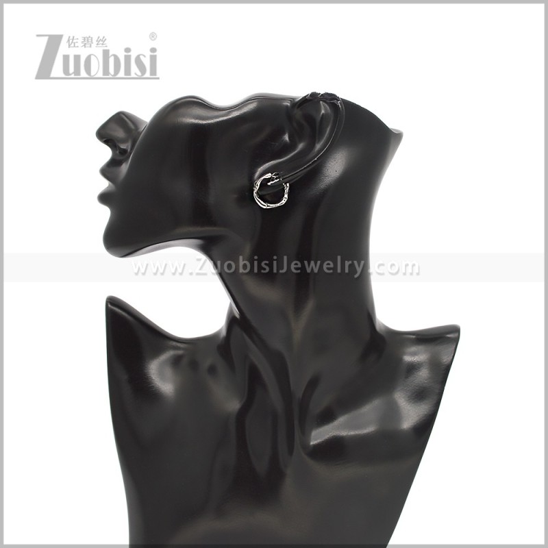 Stainless Steel Earring e002935S