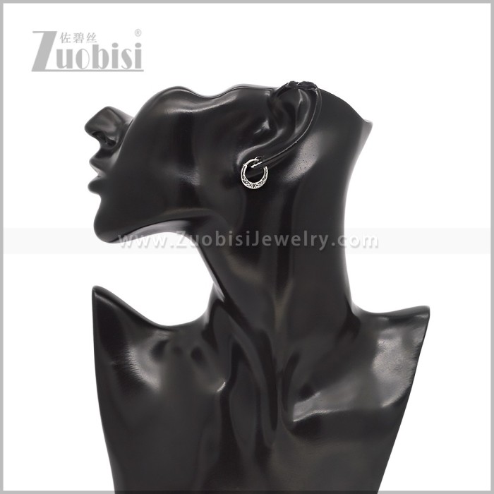 Stainless Steel Earring e002912S