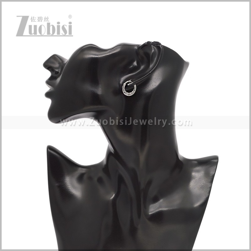 Stainless Steel Earring e002912S