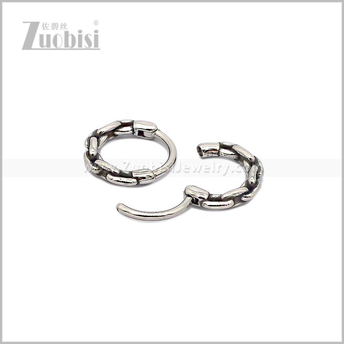 Stainless Steel Earring e002934S